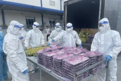 Các F0 sau khi khỏi bệnh tham gia vào việc phát suất cơm hàng ngày cho các bệnh nhân F0 khác. (Ảnh: TTXVN phát) 