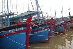 Các tỉnh, thành phố cần thông báo kịp thời cho thuyền trưởng, chủ các phương tiện, tàu thuyền. (Ảnh: Tường Quân/TTXVN)