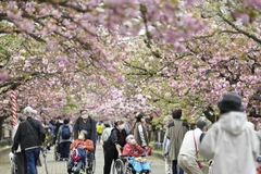 Người cao tuổi tại Osaka, Nhật Bản. (Ảnh: Kyodo/TTXVN)