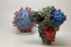 Hình ảnh 3D của virus SARS-CoV-2 (phía sau) và cấu trúc phân tử giúp SARS-CoV-2 xâm nhập tế bào con người (phía trước). (Nguồn: AFP/TTXVN) 