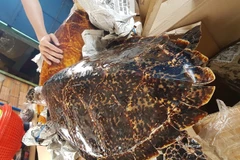 Ảnh minh họa. (Nguồn: Phòng Cảnh sát MT Công an tỉnh Tây Ninh) 