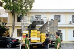 Phương tiện chở hơn 10.000 quả trứng gia cầm không rõ nguồn gốc, xuất xứ được đưa về cơ quan chức năng để điều tra làm rõ. (Ảnh: TTXVN phát)