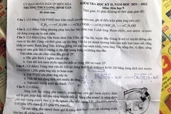 Đề thi môn hóa lớp 9 của Trường Trung học cơ sở Long Bình Tân gây tranh luận do quảng cáo về rượu. (Nguồn: tuoitre.vn) 