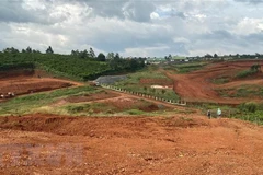 (Ảnh minh họa: Nguyễn Dũng/TTXVN) 