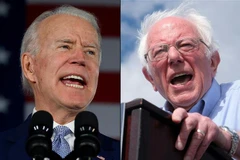 Các ứng viên tranh cử Tổng thống của đảng Dân chủ: Cựu Phó Tổng thống Mỹ Joe Biden (trái) và Thượng nghị sỹ tiểu bang Vermont Bernie Sanders. (Nguồn: AFP/TTXVN) 