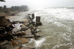 Một đoạn bờ biển bị sạt lở. (Ảnh: Trịnh Bang Nhiệm/TTXVN) 