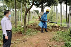 Ngành y tế tỉnh Gia Lai thực hiện phun khử khuẩn môi trường tại làng Bông Hiot, xã Hải Yang, huyện Đak Đoa - nơi có ca bệnh bạch hầu tử vong. (Nguồn: TTXVN) 