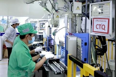 Công ty Youngbag Việt Nam Khu công nghiệp Bình Xuyên, Vĩnh Phúc là doanh nghiệp 100% vốn Hàn Quốc. (Ảnh: Hoàng Hùng/TTXVN)
