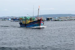 Tàu cá di chuyển vào bờ tránh bão. (Ảnh: Xuân Triệu/TTXVN) 