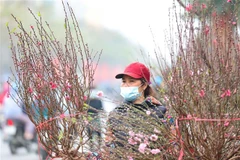 Chất lượng không khí của Hà Nội ở mức trung bình, không gây ảnh hưởng đến sức khỏe người dân. (Ảnh: Thanh Tùng/TTXVN) 