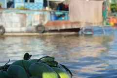 Chợ nổi Cái Răng