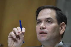 Thượng nghị sỹ Marco Rubio. (Nguồn: AFP/TTXVN) 