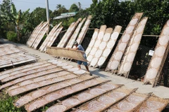 [Photo] Làng bánh tráng Hậu Thành ở Tiền Giang vào mùa Tết