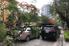 Hiện trường vụ việc. (Nguồn: anninhthudo.vn) 