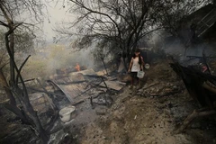 Nhiều ngôi nhà bị thiêu rụi trong vụ cháy rừng tại Bouira, Algeria, ngày 24/7/2023. (Ảnh: THX/TTXVN)