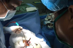 Các bác sỹ tiến hành phẫu thuật cho bệnh nhân. (Nguồn: TTXVN phát) 