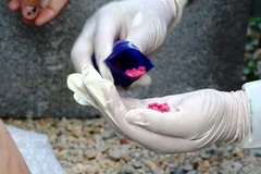 Ma túy được phát hiện ngay tại hiện trường nhà ở của Tuân. (Ảnh: TTXVN phát) 