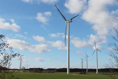 Một trang trại phong điện. (Ảnh minh họa: Mạnh Hùng/TTXVN) 