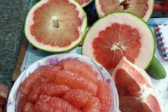 Bưởi da xanh ở xã Phước Bình (huyện Bác Ái) đáp ứng yêu cầu thị trường Hoa Kỳ. (Ảnh: TTXVN phát)