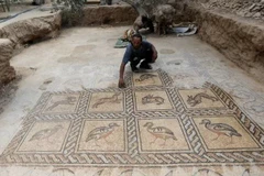  Sàn nhà được trang trí hình ảnh chim và thú. (Nguồn: Reuters) 