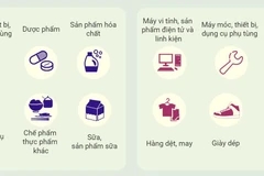 [Infographics] Quan hệ thương mại Việt Nam-Hà Lan trong những năm qua