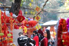 (Ảnh minh họa: Thanh Tùng/TTXVN) 