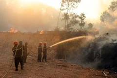 Các lực lượng nỗ lực tham gia dập tắt, khoanh vùng đám cháy. (Ảnh: Đỗ Trưởng/TTXVN) 