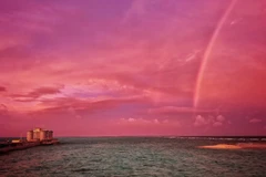 [Photo] Vẻ đẹp kiên cường trước biển của quần đảo Trường Sa