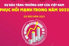 Dự báo tăng trưởng GDP của Việt Nam phục hồi mạnh trong năm 2022