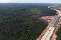 Kutai Kartanegara, một trong hai địa điểm được chính phủ đề xuất cho thủ đô mới của Indonesia. (Nguồn: AFP) 