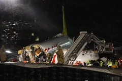 Ảnh minh họa. (Nguồn: defpost.com) 