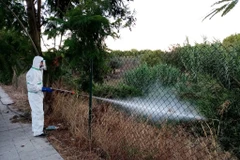 Phát hiện 1 bệnh nhân nhiễm virus Tây sông Nile ở miền Nam Tây Ban Nha