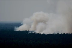 Khói bốc lên từ đám cháy tại rừng Grunewald ở Berlin, Đức, ngày 4/8/2022. (Ảnh: AFP/TTXVN) 