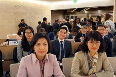 Đại sứ Lê Thị Tuyết Mai trong một khóa họp. (Ảnh: Xuân Hoàng/TTXVN) 