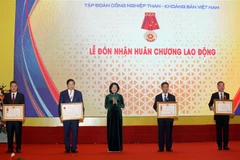 Phó Chủ tịch nước Đặng Thị Ngọc Thịnh trao Huân chương Lao động cho các cá nhân và tập thể. (Ảnh: Phan Tuấn Anh/TTXVN) 