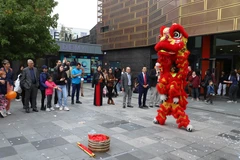 Biểu diễn múa lân tại lễ hội. (Ảnh: Hải Vân/Vietnam+) 