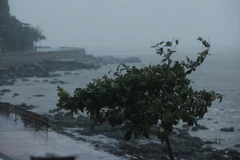 Khu vực Đồ Sơn gió tăng cấp 10-11, mưa lớn (ảnh chụp lúc 12g30). Ảnh: Minh Quyết - TTXVN