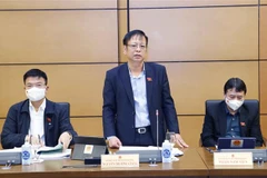 Đại biểu Quốc hội tỉnh Đắk Nông Nguyễn Trường Giang phát biểu ý kiến. (Ảnh: Doãn Tấn/TTXVN) 