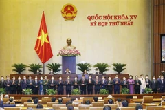 Các thành viên Chính phủ nhiệm kỳ 2021-2026 ra mắt Quốc hội. (Ảnh: Doãn Tấn/TTXVN) 