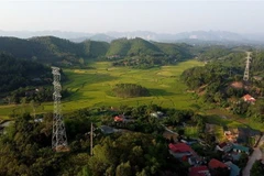 Dự án đường dây 220kV Bắc Giang-Lạng Sơn có chiều dài tuyến 101,6km. (Ảnh: Huy Hùng/TTXVN)
