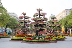 Đa dạng chủng loại hoa khoe sắc trên Đường hoa Nguyễn Huệ Tết Nhâm Dần 2022. (Ảnh: Mỹ Phương/TTXVN) 