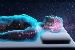 Những người có giấc ngủ ngon này là niềm mơ ước của hàng trăm triệu người trên toàn cầu đang phải vật lộn với các vấn đề liên quan đến giấc ngủ. (Nguồn: Shutterstock)