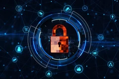 Ảnh minh họa. (Nguồn: datalinknetworks.net) 