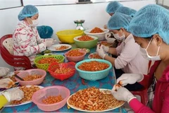 Chế biến tôm khô ở Cà Mau. (Ảnh: Huỳnh Anh/TTXVN) 