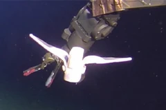 (Nguồn: dailynigerian.com) 