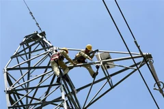 (Ảnh minh họa: Ngọc Hà/TTXVN) 