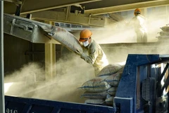 (Ảnh minh họa: Trần Việt/TTXVN) 