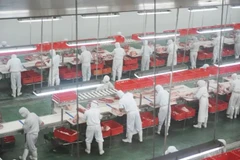 JBS có hơn 66.000 nhân công làm việc tại 84 nhà máy giết mổ ở Mỹ và khoảng 11.000 cơ sở giết mổ tại Australia. (Nguồn: thepigsite.com) 