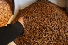 Ảnh minh họa. (Nguồn: afghanistantimes.af) 