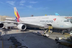 Máy bay của hãng hàng không Asiana Airlines tại sân bay quốc tế Los Angeles, California, Mỹ, ngày 12/2/2020. (Nguồn: AFP/TTXVN) 